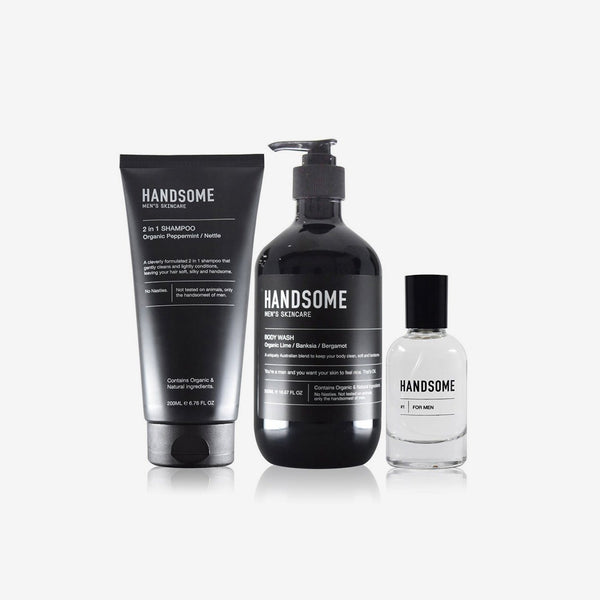 Handsome Refresh Collection Body Kit Handsome 
