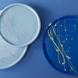 Splash Plate | Blue with Yellow R L Foote Design Studio 
